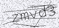captcha verification