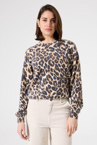 Pull col rond